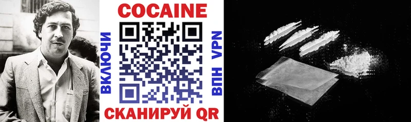 где можно купить   Зубцов  КОКАИН Fish Scale 