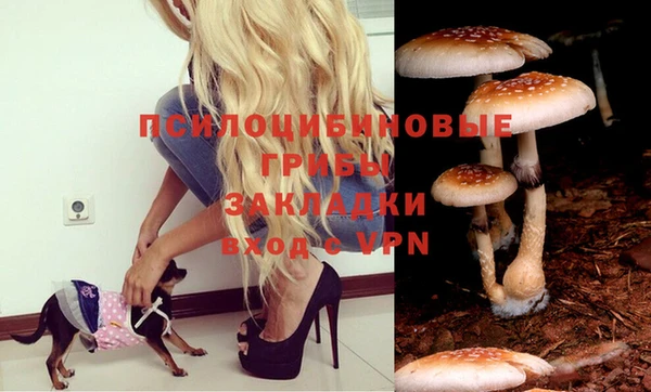 круглые Волоколамск