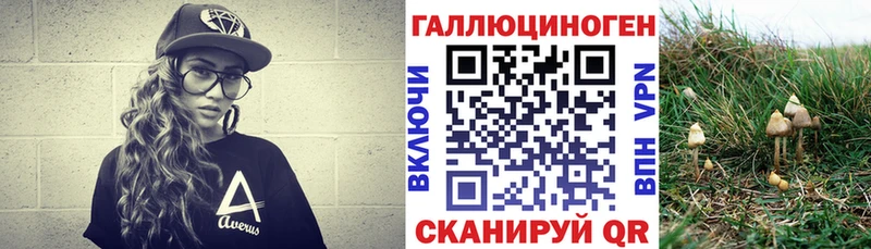 Псилоцибиновые грибы GOLDEN TEACHER  Зубцов 